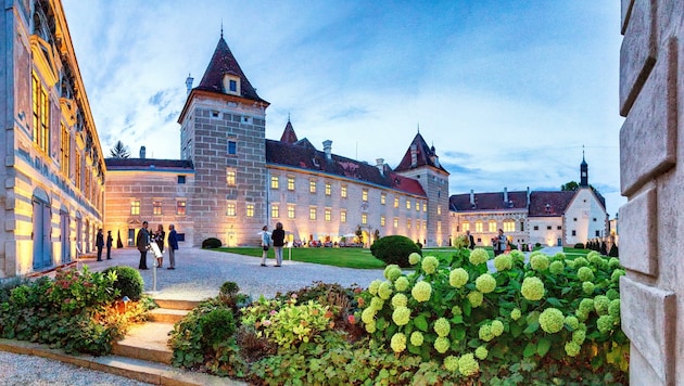 Besondere Atmosphäre: Auf Schloss Walpersdorf gibt es wieder Künstler „zum Anfassen“. Starbariton Bo Skovhus ist zum dritten Mal zu Gast. Und Marko Simsa entführt alle jungen Besucher gemeinsam mit seiner Band auf eine musikalische Reise durch den Orient. (Bild: Marius Höfinger)