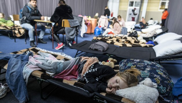Bis zu 6000 Kriegsflüchtlinge könnte Vorarlberg aufnehmen. (Bild: Wojtek RADWANSKI / AFP)