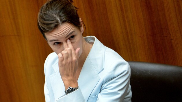 In vier Tagen steht für Ex-ÖVP-Ministerin Sophie Karmasin viel auf dem Spiel. Ihre ehemalige Freundin Sabine Beinschab belastet sie. (Bild: APA/ROLAND SCHLAGER)