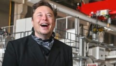 Mit dem Abgang zahlreicher Manager wird Tesla wieder etwas mehr zu einer Elon-Musk-One-Man-Show. (Bild: AFP)