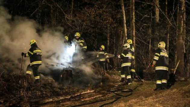 Den Waldbrand in Gnas brachten die 45 Feuerwehrleute der FF Kleinlobming, Großlobming und Apfelberg rasch unter Kontrolle. (Bild: Thomas Zeiler)