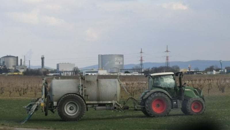 Über Klärschlamm gelangen Gifte in den Buden. (Bild: P. Huber)