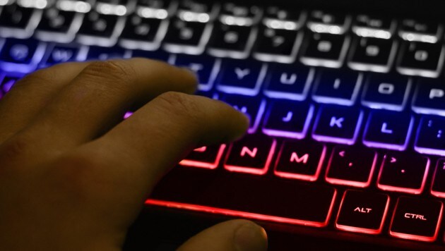 Nach dem Hackerangriff auf die Computersysteme der Kärntner Landesregierung soll Mitte nächster Woche wieder Bürgerservice möglich sein (Bild: Vitalii - stock.adobe.com)