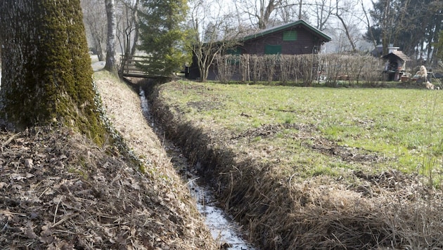 A property owner found the young woman's body in the Lustenauer Ried on March 5, 2022. (Bild: Dietmar Mathis Fotografenmeister)