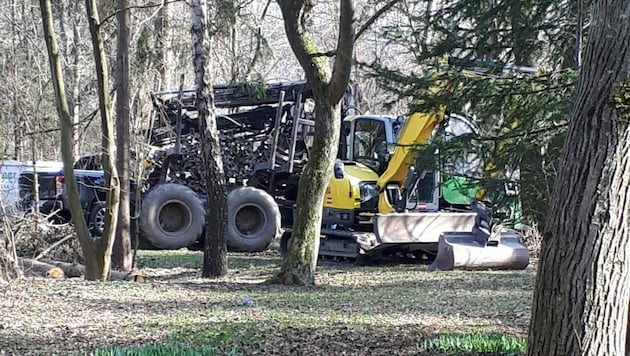 Bagger rollten an und über 300 Bäume fielen. (Bild: privat)