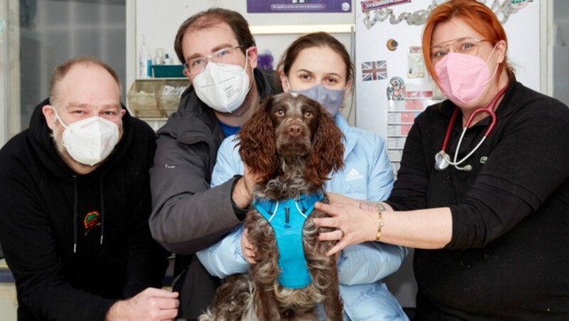 „Romy“ im Kreis ihrer Retter: Christian S., Designer und Hunde-Pate Jürgen Wazek, Liubov S., und Dr. Eva Grafl-Tendl (v.l.n.r.) (Bild: Ing. Martin Schlager)