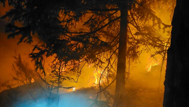 Wald auf einer Fläche von rund 200 Quadratmetern stand in Telfs in Tirol in Flammen. (Bild: zeitungsfoto.at)