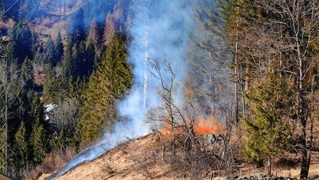 Die massive Dürre befeuert die Gefahr von Waldbränden. (Bild: FF Reintal)