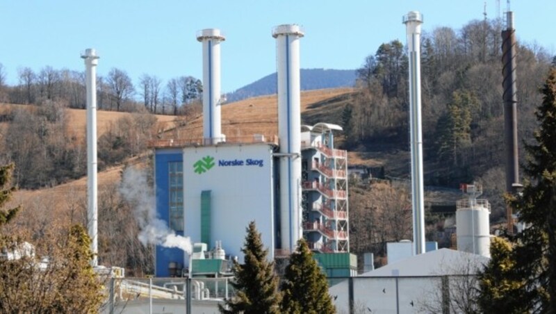 Die Papierfabrik Norske Skog in Bruck an der Mur (Bild: Christian Jauschowetz)