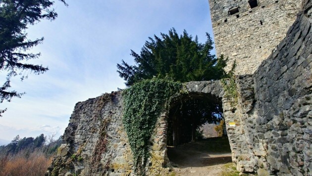 Die alte Ruine lässt sich bei einem spannenden Rundgang erkunden. (Bild: Rubina Bergauer)
