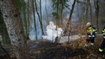 A las 5 de la tarde, el bosque en Badenbrunn cerca de Gnas (sureste de Estiria) se incendió.  (Imagen: BFVFB/C. Karner)