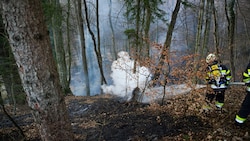 Um 17 Uhr geriet das Waldstück in Badenbrunn bei Gnas (Südoststeiermark) in Brand. (Bild: BFVFB/C. Karner)
