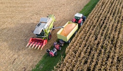 Die Eigenversorgung bei Mais oder Getreide ist in Oberösterreich sehr hoch. Weil Düngemittel fehlen, könnte die Ernte heuer aber geringer ausfallen. (Bild: Scharinger Daniel)