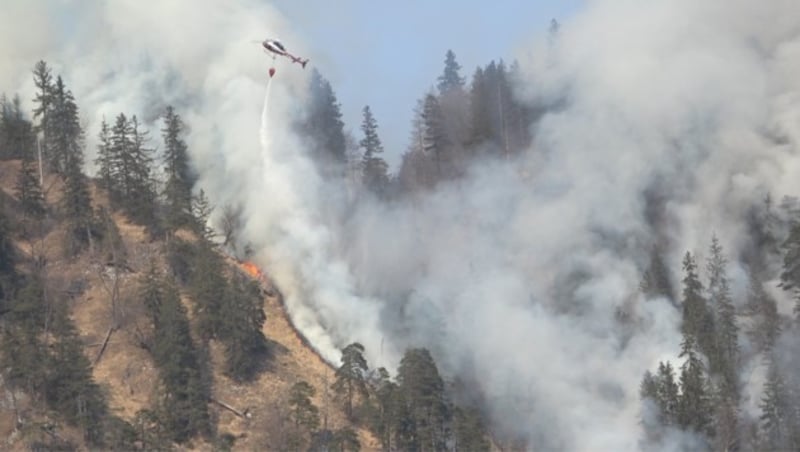 Waldbrand in Pinswang (Bild: zoom.tirol)