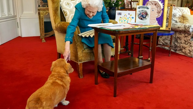 Queen Elizabeth feierte im Februar ihr 70. Thronjubiläum - und einer ihrer Hunde leistete ihr Gesellschaft. (Bild: AP)