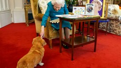 Queen Elizabeth feierte im Februar ihr 70. Thronjubiläum - und einer ihrer Hunde leistete ihr Gesellschaft. (Bild: AP)