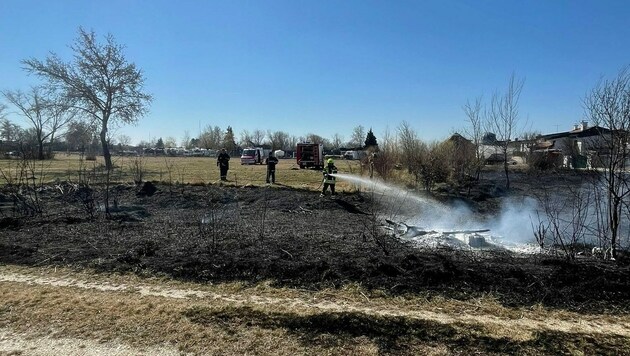 50 Florianis aus Podersdorf und Illmitz löschten das Feuer nahe des Campingplatzes. (Bild: FF Podersdorf am See)
