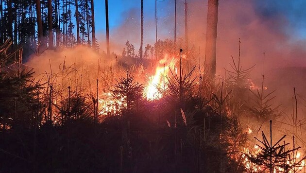 Der größte Einsatz des vergangenen Wochenendes dürfte sich in einem Waldstück in der Nähe von Raabs an der Thaya ereignet haben. Mehr als 20 Hektar Forst brannten, bevor die Feuerwehr die Flammen eindämmen konnten. (Bild: AFK Raabs)