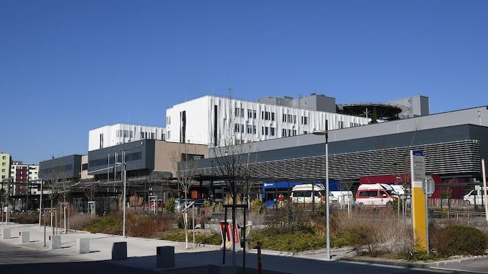 Haarige Angelegenheit: Eine Schwester soll im Klinikum St. Pölten zur Schere gegriffen haben.