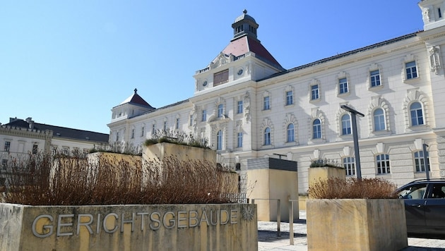 Der 30-Jährige musste sich am Landesgericht St. Pölten wegen Diebstahls im Rahmen einer kriminellen Vereinigung verantworten. (Bild: P. Huber)