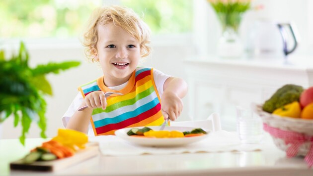 Für Kleinkinder ist abwechslungsreiches Essen enorm wichtig. (Bild: Family Veldman/stock.adobe.com)