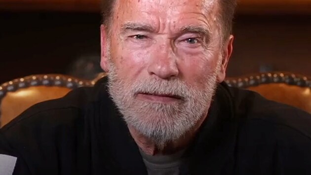 (Bild: Screenshot: twitter.com/@Schwarzenegger)