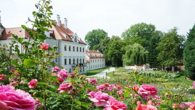 (Bild: Schloss Thalheim)