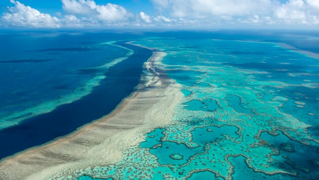 Seit Jahrzehnten leidet das größte Korallenriff der Welt unter der Erderwärmung. (Bild: Jumbo Aerial Photography/Great Barrier Reef Marine Park Authority via AP)