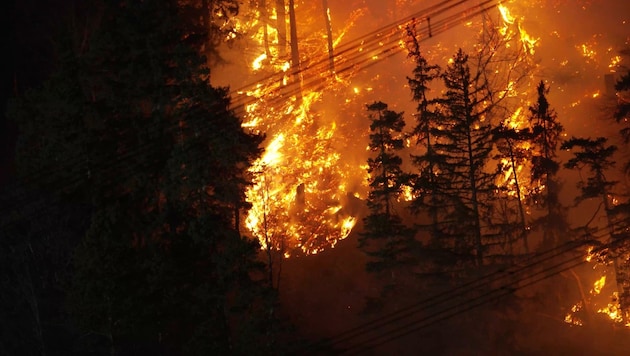 13 Waldbrände beschäftigten die heimischen Wehren seit Jahresbeginn. (Bild: Liebl Daniel)