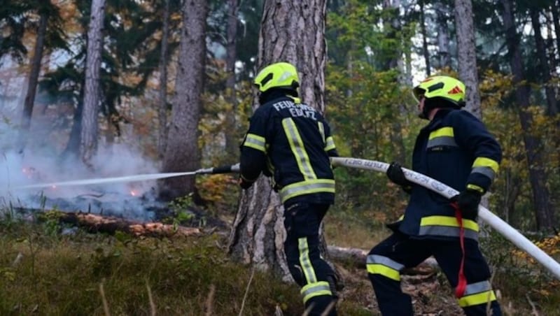 Die neue Verordnung soll die engagierten Florianis schützen. (Bild: EINSATZDOKU.AT)