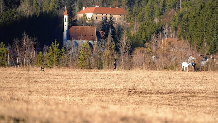 Eine malerische Kulisse mit Frauenkirche und Schloss Pernegg - wenn nicht die asbesthaltige ...