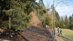 In diesem Waldstück konnte die FF Spittal ein Ausbreiten der Flammen verhindern. (Bild: zVg/FF Spittal)