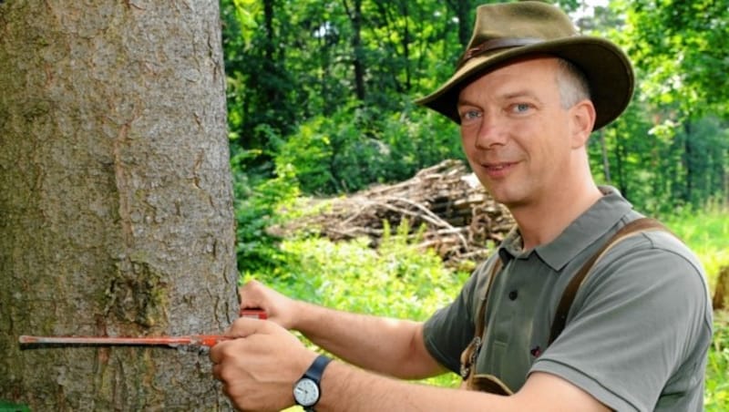 Felix Montecuccoli ist Präsident der Land- und Forstbetriebe. (Bild: GABRIELE MOSER)