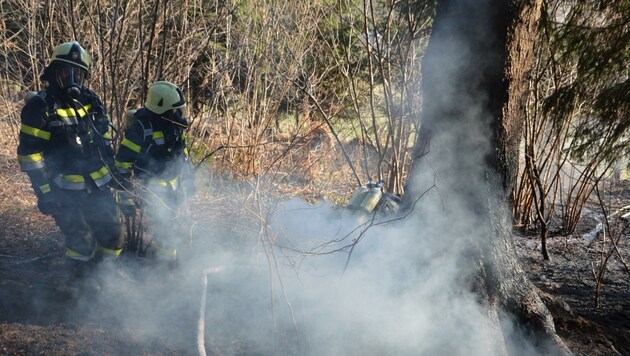 In Spittal haben Feuerwehrleute am Wochenende einen Waldbrand verhindern können. (Bild: Freiwillige Feuerwehr Spittal an)