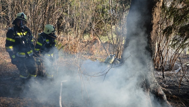 In Spittal haben Feuerwehrleute am Wochenende einen Waldbrand verhindern können. (Bild: Freiwillige Feuerwehr Spittal an)