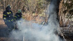 In Spittal haben Feuerwehrleute am Wochenende einen Waldbrand verhindern können. (Bild: Freiwillige Feuerwehr Spittal an)