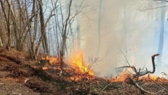 Weitere rund 70 Feuerwehrkräfte standen am Montag Waldbrand in Ramsau (Bezirk Lilienfeld) im Einsatz. (Bild: APA/BFKDO LILIENFELD)