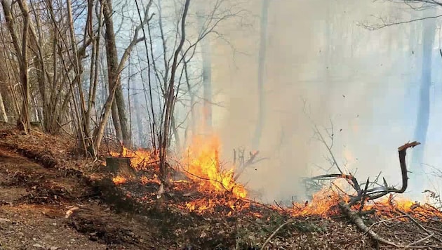 Weitere rund 70 Feuerwehrkräfte standen am Montag Waldbrand in Ramsau (Bezirk Lilienfeld) im Einsatz. (Bild: APA/BFKDO LILIENFELD)