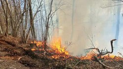 Weitere rund 70 Feuerwehrkräfte standen am Montag Waldbrand in Ramsau (Bezirk Lilienfeld) im Einsatz. (Bild: APA/BFKDO LILIENFELD)