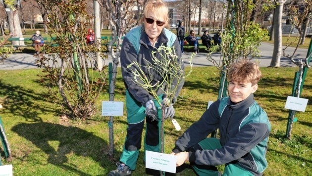 A los 18 años, Bruno W. es el jardinero más joven del equipo de Michaela Rathbauer.  Está completando un año ambiental voluntario como sustituto del servicio comunitario.  (Imagen: Jöchl Martin)