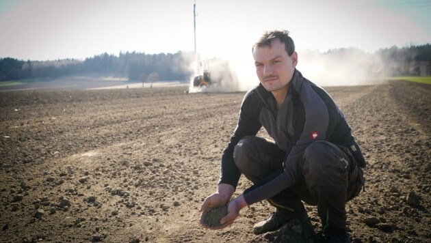 Johannes Neubauer (Sohn von Johann Neubauer aus dem Artikel) ist in Sorge: Er leitet einen landwirtschaftlichen Betrieb in Wittmannsdorf (Bild: Pail Sepp)