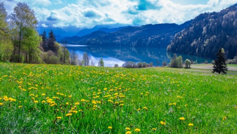 Der Weißensee in Kärnten im Sommer (Bild: ©Alice_D - stock.adobe.com)