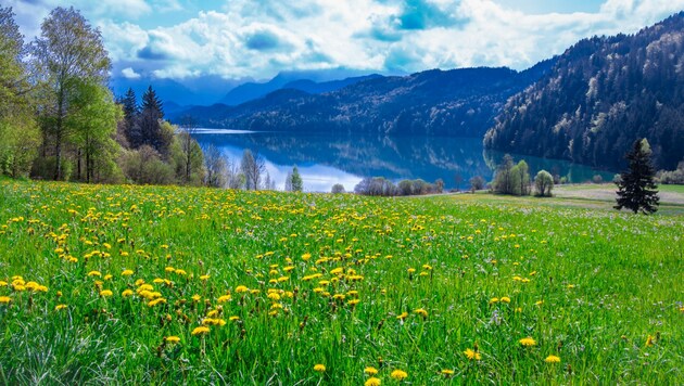 Der Weißensee in Kärnten im Sommer (Bild: ©Alice_D - stock.adobe.com)