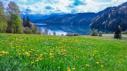 Der Weißensee in Kärnten im Sommer (Bild: ©Alice_D - stock.adobe.com)