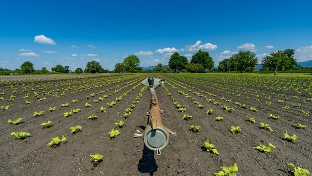 Nothing works in the fields without irrigation systems. (Bild: Stiplovsek Dietmar )