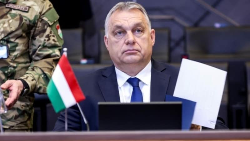 Ungarns Premier Viktor Orban (Bild: AFP)