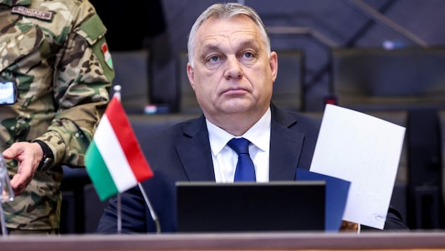 Ungarns Premier Viktor Orban (Bild: AFP)