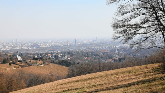 Der Blick auf Wien zeigt auch die massive Trockenheit der Wiesen. (Bild: Jöchl Martin)