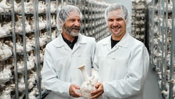 Hermann und Thomas Neuburger in der Kräuterseitlinge-Produktion in Ulrichsberg (Bild: Markus Wenzel)