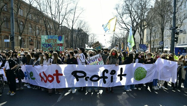Eine Demonstration im Rahmen eines weltweiten "Klimastreiks" der Fridays For Future Bewegung in Wien. (Bild: APA/HANS KLAUS TECHT)